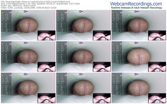 stripchat-controlmytoys-10-28-2025-20-08-44