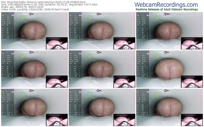 stripchat-controlmytoys-10-28-2025-20-08-44