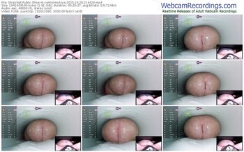 stripchat-controlmytoys-10-28-2025-21-44-26