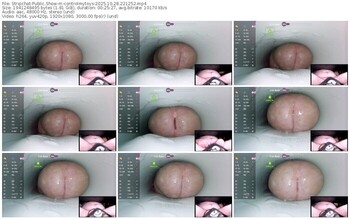 stripchat-controlmytoys-10-28-2025-22-12-52