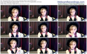 stripchat-evan_reinhart-10-28-2025-12-45-47