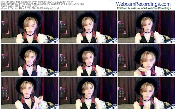 stripchat-evan_reinhart-10-28-2025-12-45-47