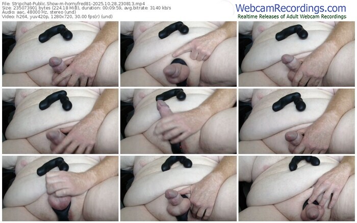 stripchat-hornyfred81-10-28-2025-23-08-13
