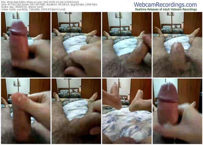 stripchat-user_662-10-28-2025-11-53-44