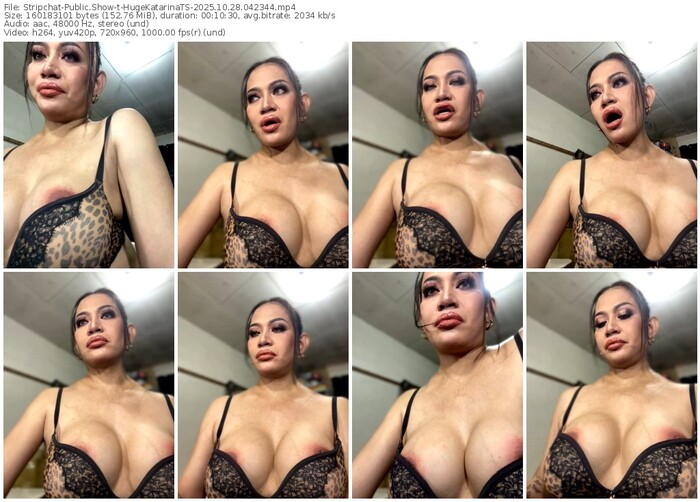 stripchat-hugekatarinats-10-28-2025-04-23-44