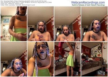 stripchat-transexualjade95-10-28-2025-02-37-34