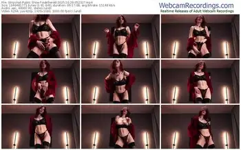 stripchat-adelheidd-10-29-2025-05-23-27