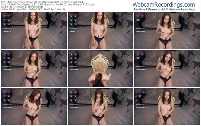 stripchat-dionpefferman-10-29-2025-01-02-48