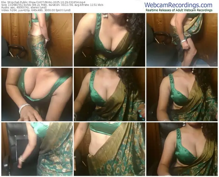 stripchat-hot-payal-10-29-2025-03-16-54