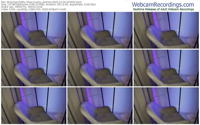 stripchat-leila_libertas-10-29-2025-19-39-33