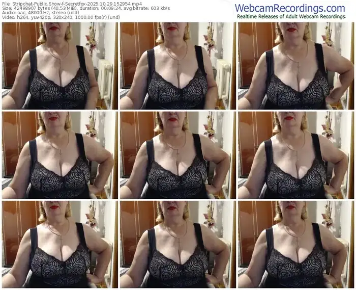 stripchat-secretfox-10-29-2025-15-29-54