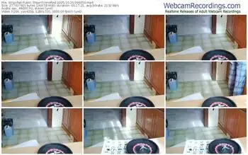 stripchat-venered-10-29-2025-09-03-50