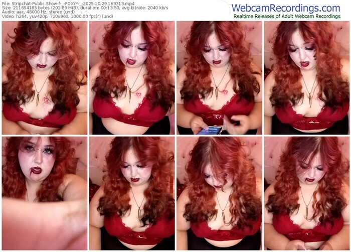 stripchat-_-foxyy-_-10-29-2025-16-33-13