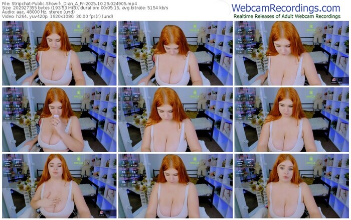 stripchat-_dian_a_pr-10-29-2025-02-49-05