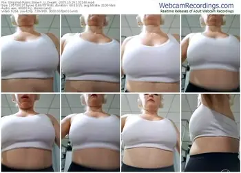 stripchat-_u_dream_-10-29-2025-13-23-44