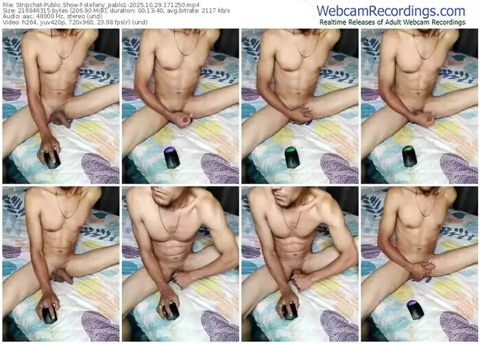 stripchat-stefany_pablo1-10-29-2025-17-12-50