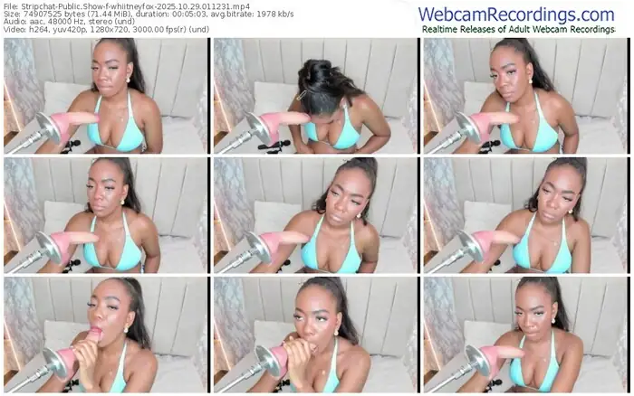 stripchat-whiitneyfox-10-29-2025-01-12-31