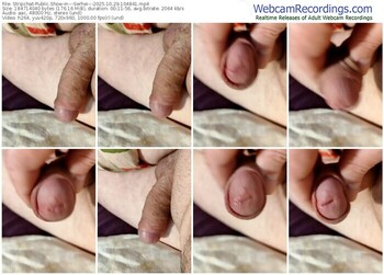 stripchat---serhei---10-29-2025-10-48-41