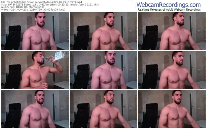 stripchat-ivanhydee-10-29-2025-11-03-53