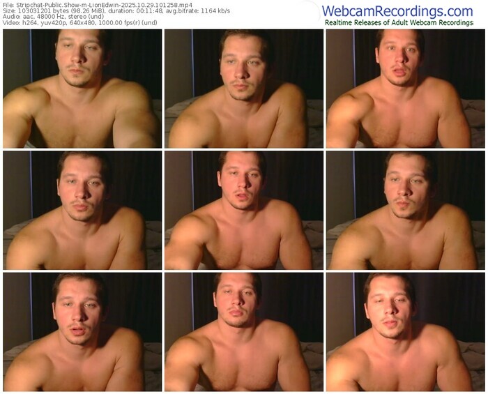 stripchat-lionedwin-10-29-2025-10-12-58