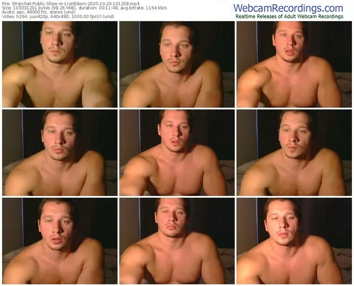 stripchat-lionedwin-10-29-2025-10-12-58