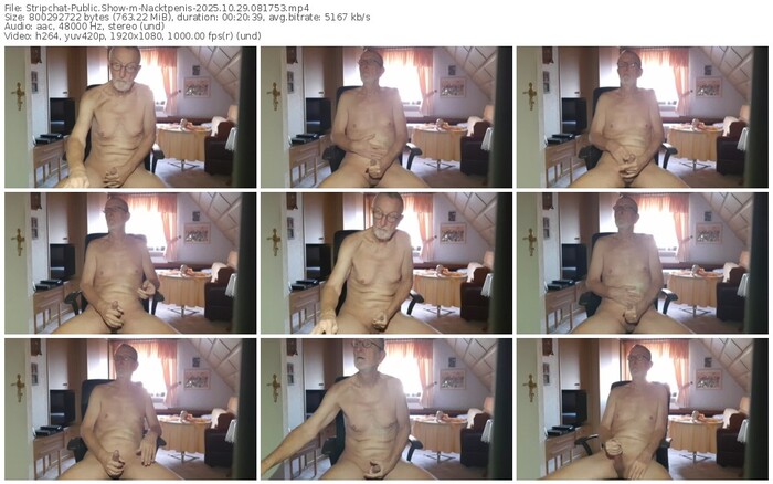 stripchat-nacktpenis-10-29-2025-08-17-53