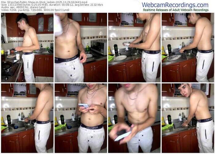 stripchat-stick_ledom-10-29-2025-06-24-43