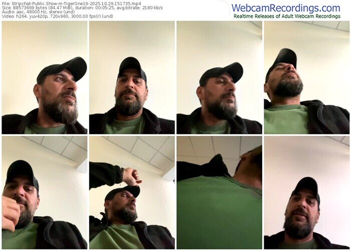 stripchat-tigerone19-10-29-2025-15-17-35