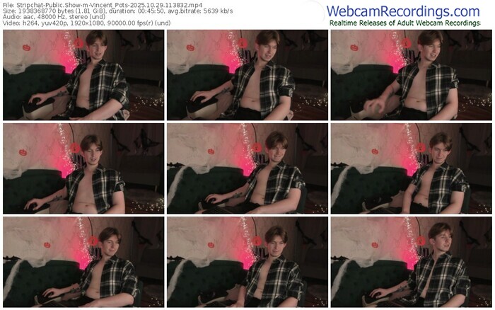 stripchat-vincent_pots-10-29-2025-11-38-32