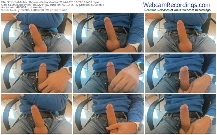 stripchat-alessandroman2114-10-29-2025-12-14-02