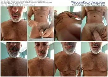 stripchat-desideriodexy-10-29-2025-09-28-16