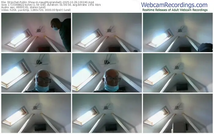 stripchat-naughtygrandad1-10-29-2025-10-02-40