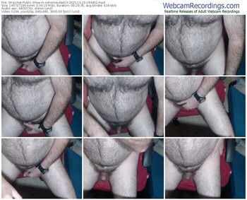 stripchat-sohorneydad13-10-29-2025-18-48-02