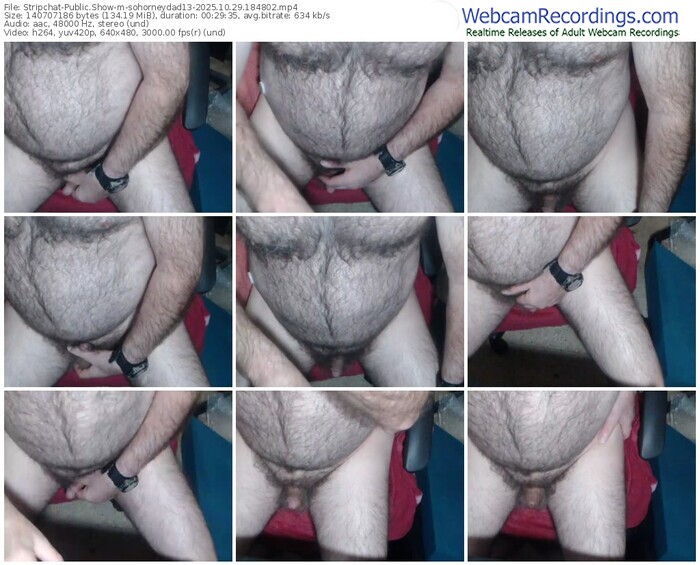 stripchat-sohorneydad13-10-29-2025-18-48-02