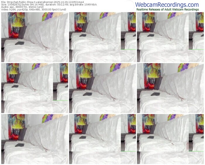 stripchat-valeriahornier-10-29-2025-12-20-53