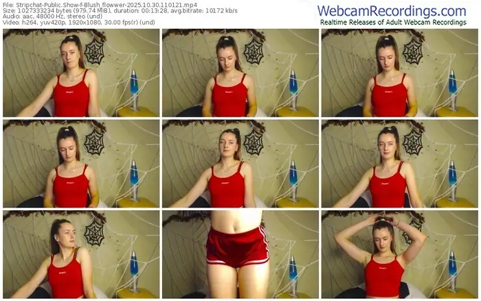 stripchat-blush_flowwer-10-30-2025-11-01-21