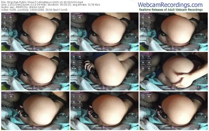 stripchat-celinereyys-10-30-2025-01-02-10