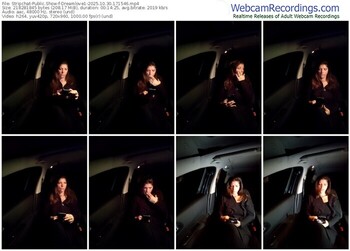 stripchat-dreamlove1-10-30-2025-17-15-46