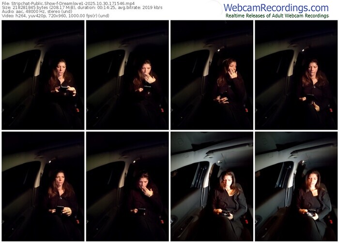 stripchat-dreamlove1-10-30-2025-17-15-46