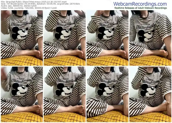 stripchat-meii-meyy-10-30-2025-15-15-57