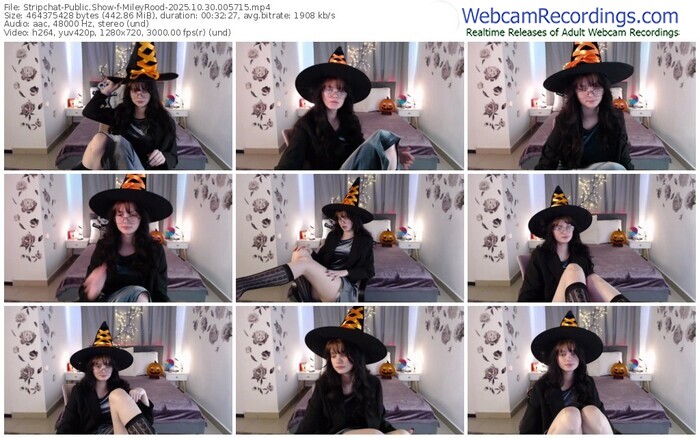 stripchat-mileyrood-10-30-2025-00-57-15