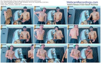 stripchat-iam_steven-10-30-2025-14-20-33