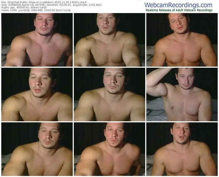 stripchat-lionedwin-10-30-2025-14-09-11