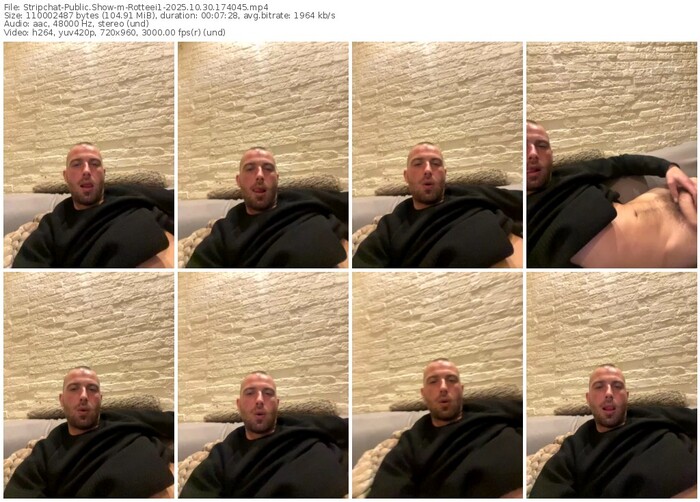 stripchat-rotteei1-10-30-2025-17-40-45