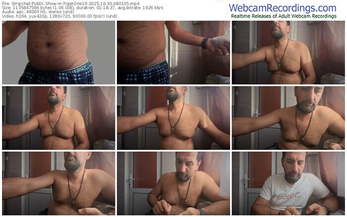 stripchat-tigerone19-10-30-2025-08-01-05