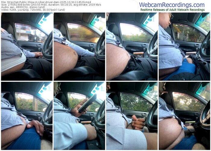 stripchat-uber-driver-dam-10-30-2025-11-45-29