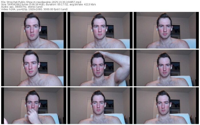 stripchat-rawdawgrex-10-30-2025-10-48-57