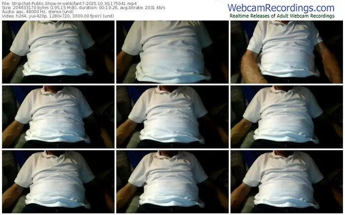 stripchat-velikifant7-10-30-2025-17-50-41