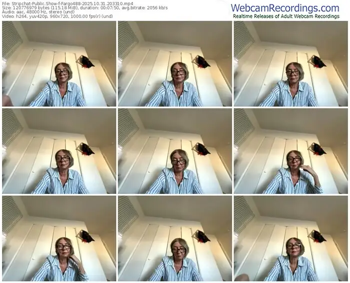 stripchat-fargo488-10-31-2025-20-33-10