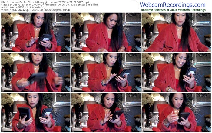 stripchat-hornygirltheone-10-31-2025-02-56-27